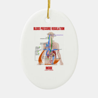 Blood Pressure Regulation Inside Physiology Ceramic Tree Decoration