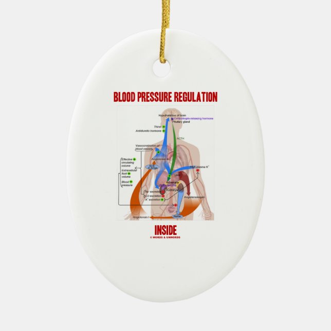Blood Pressure Regulation Inside Physiology Ceramic Tree Decoration (Front)