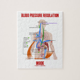 Blood Pressure Regulation Inside Physiology Jigsaw Puzzle