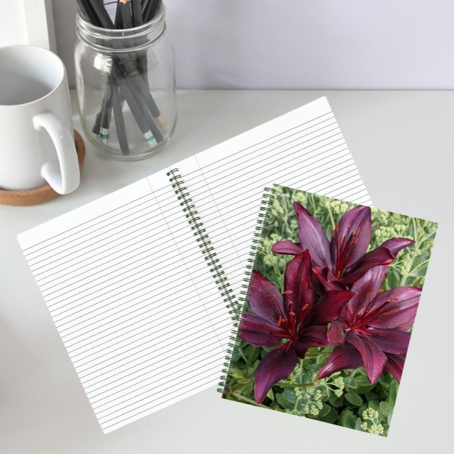 Blood Red Lilies and Sedum Floral Notebook (In Situ)