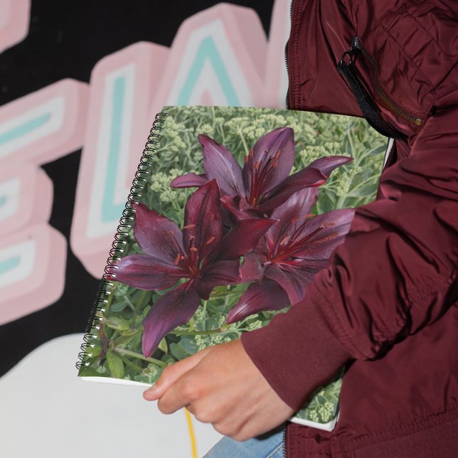 Blood Red Lilies and Sedum Floral Notebook (In Situ)