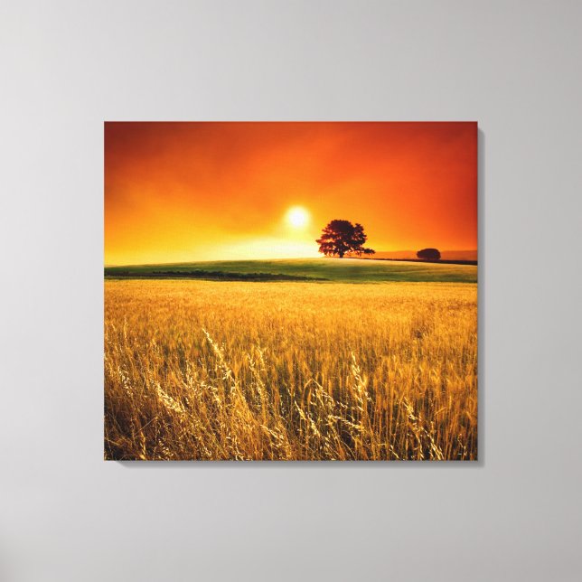 Blood-Red Sunset Canvas Print (Front)