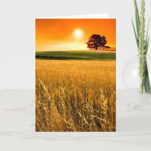 Blood-Red Sunset Card