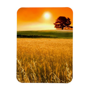 Blood-Red Sunset Magnet