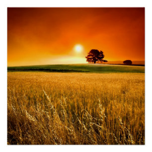 Blood-Red Sunset Poster