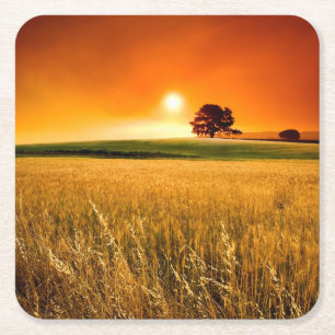 Blood-Red Sunset Square Paper Coaster