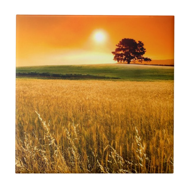 Blood-Red Sunset Tile (Front)