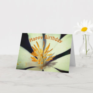 Blood Root Flower Centre Birthday  Card