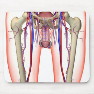 Blood Supply Mouse Mat