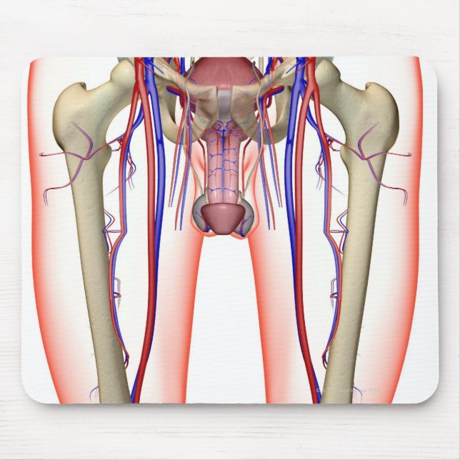 Blood Supply Mouse Mat (Front)