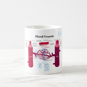 Blood Vessels Arteries Capillaries Veins Diagram Coffee Mug