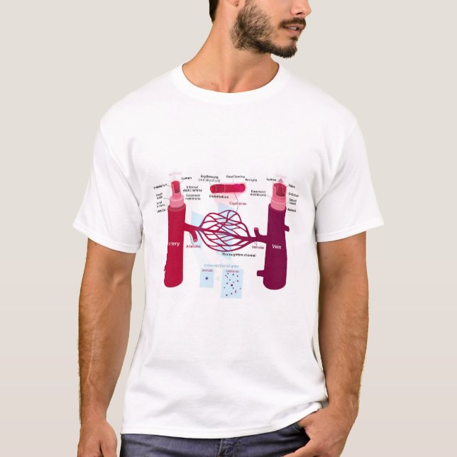 Blood Vessels Diagram Arteries Veins Capillaries T-Shirt (Front)