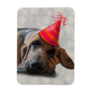 Bloodhound After the Party Magnet