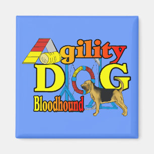 Bloodhound Agility Gifts Magnet