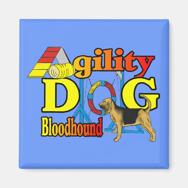 Bloodhound Agility Gifts Magnet (Front)