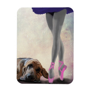 Bloodhound And Ballet Dancer Magnet