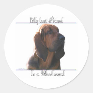 Bloodhound Best Friend; Bloodhound gifts; Classic Round Sticker