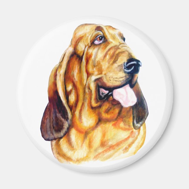 Bloodhound Bust Magnet (Front)