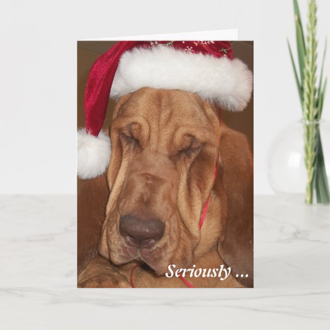 Bloodhound Christmas Card (Front)