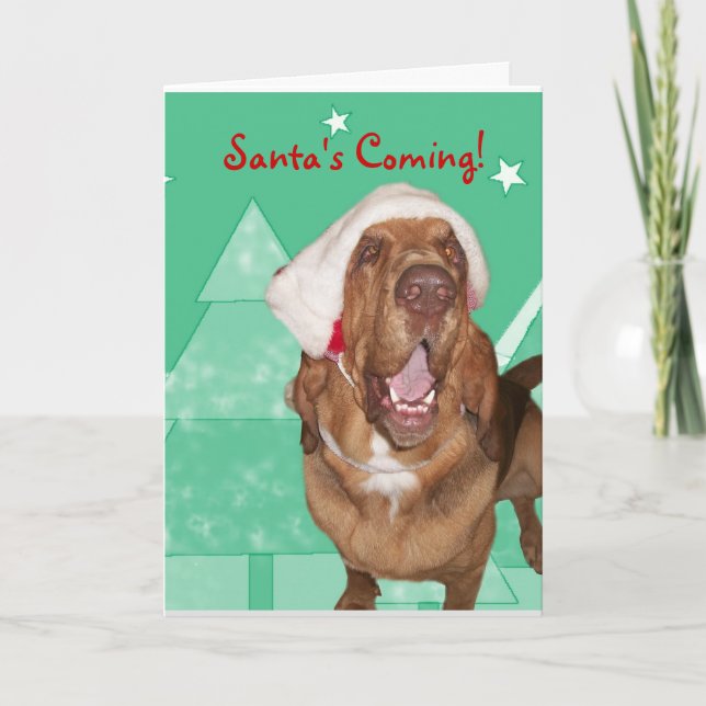 Bloodhound Christmas Card (Front)