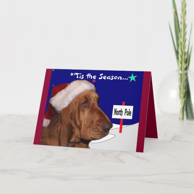 Bloodhound Christmas Card (Front)