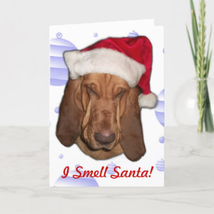 Bloodhound Christmas Card