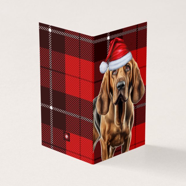 Bloodhound Christmas Dog with Red Holiday Plaid (Outside)