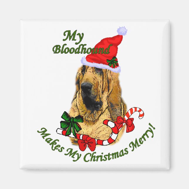Bloodhound Christmas Gifts Magnet (Front)