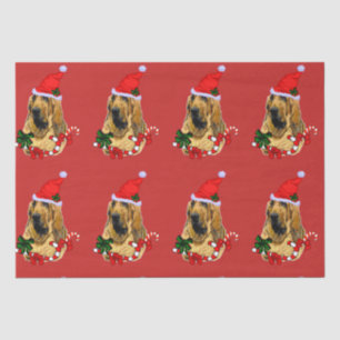 Bloodhound Christmas Tissue Paper