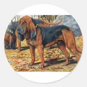 Bloodhound Classic Round Sticker