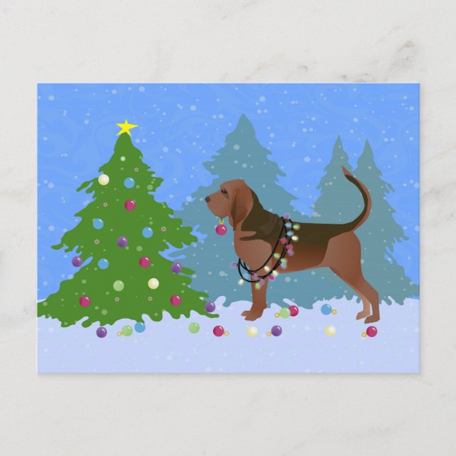 Bloodhound Dog Decorating Christmas Tree Holiday Postcard (Front)
