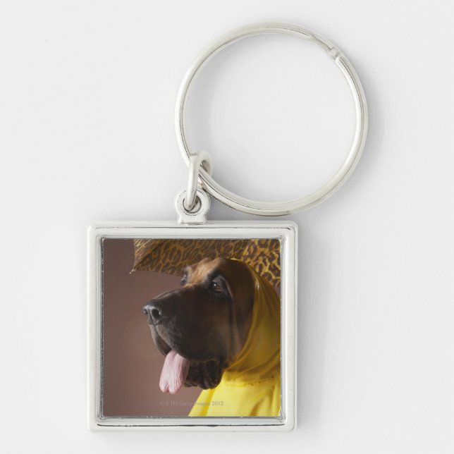 Bloodhound dog. key ring (Front)