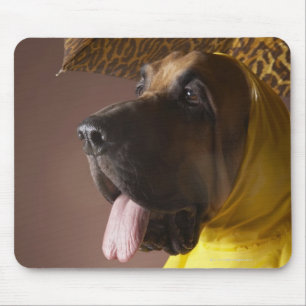Bloodhound dog. mouse mat