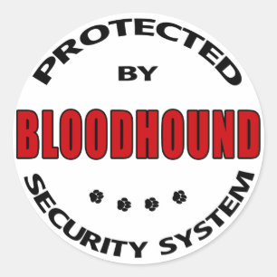 Bloodhound Dog Security Classic Round Sticker