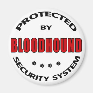 Bloodhound Dog Security Magnet