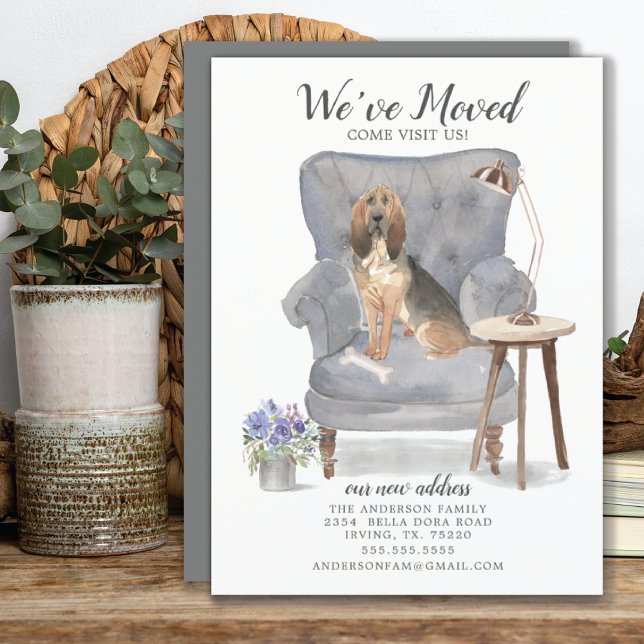 BloodHound Dog We've Moved Moving Announcement (Creator Uploaded)