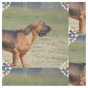 Bloodhound Fabric