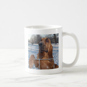 Bloodhound Face Coffee Mug