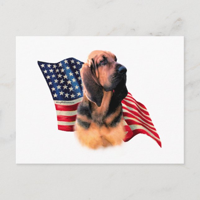 Bloodhound Flag Postcard (Front)