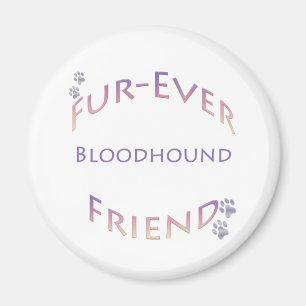 Bloodhound Furever Magnet