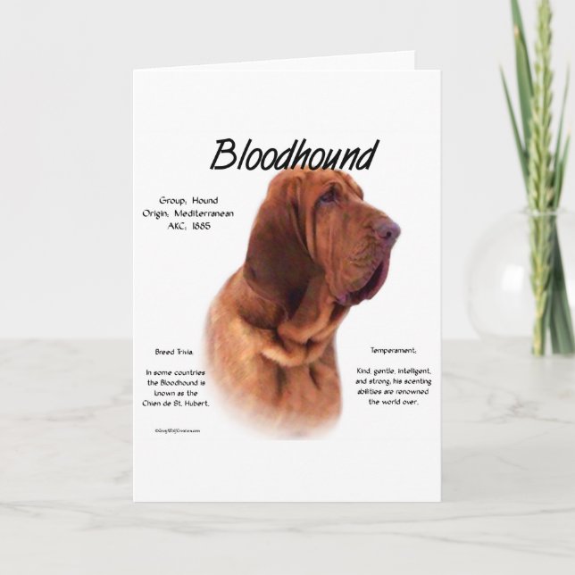 Bloodhound History Design Holiday Card (Front)