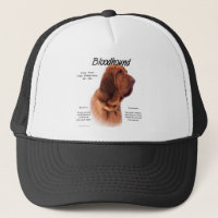 Bloodhound History Design