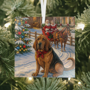 Bloodhound Holiday  Glass Tree Decoration