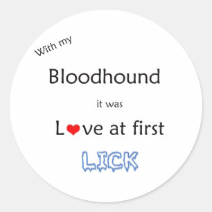 Bloodhound Love at First Lick - Sticker