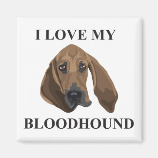Bloodhound Love Magnet