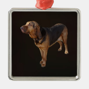 Bloodhound Metal Tree Decoration
