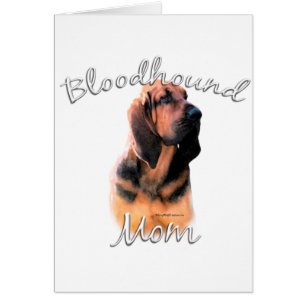 Bloodhound Mum 2