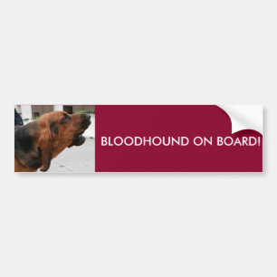 Bloodhound On Board Bumper Sticker