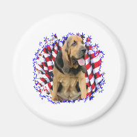 Bloodhound Patriot