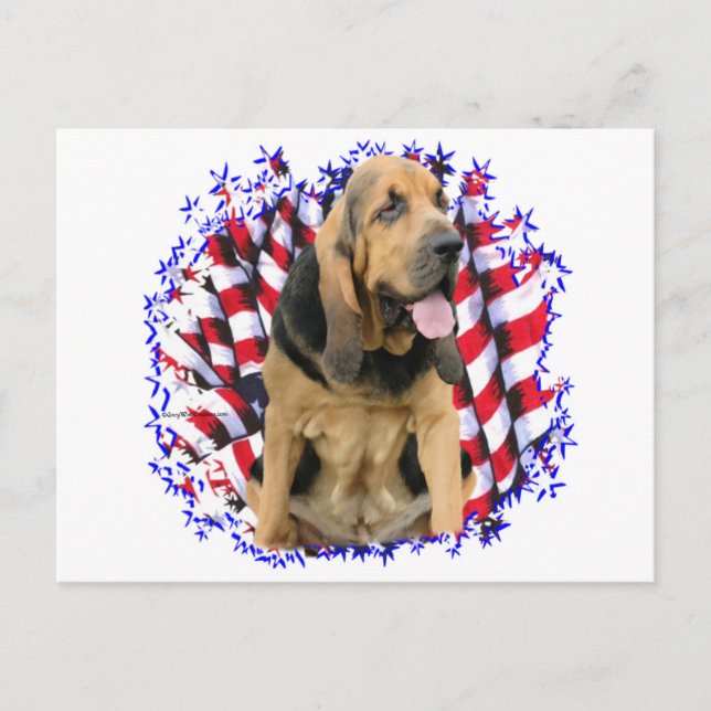 Bloodhound Patriot Postcard (Front)